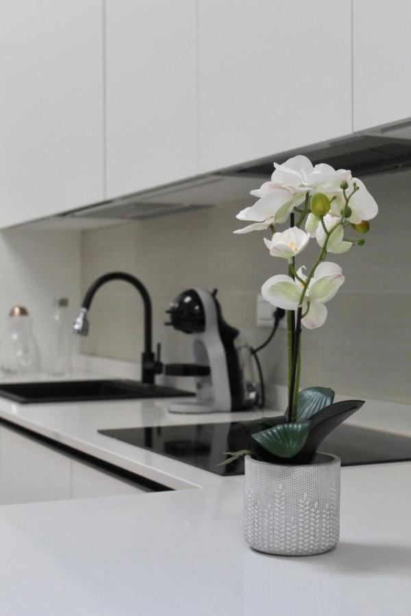 Home Viale Trento 16 Cagliari Luaran gambar